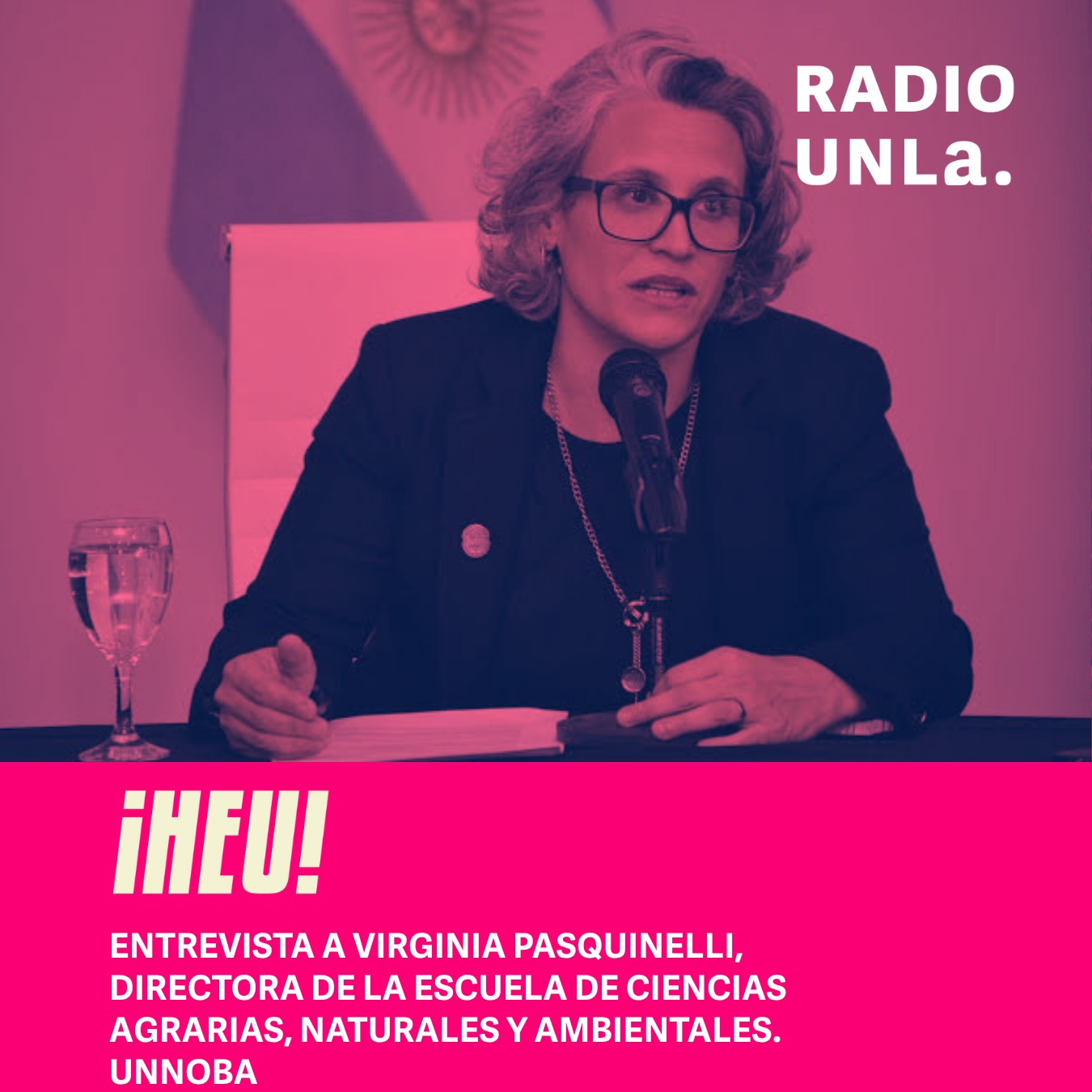 ¡HEU! Hecho en la Universidad. Programa 15